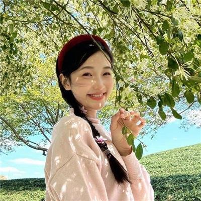 完美武器